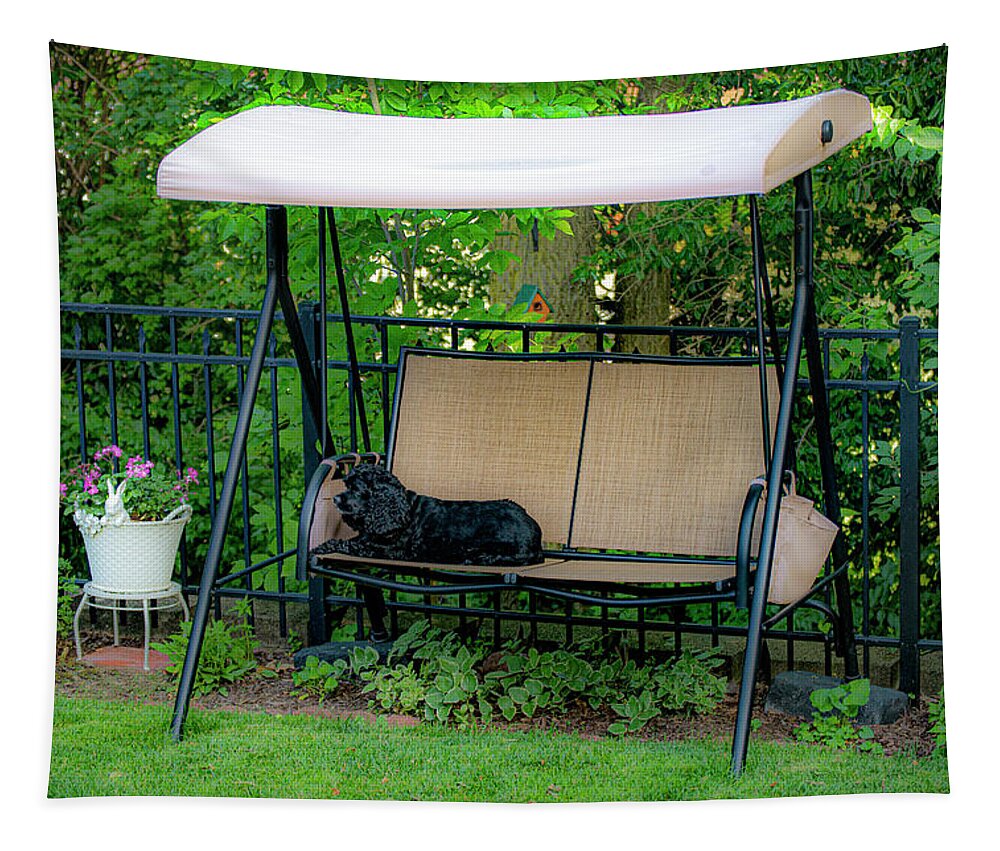 Dog Tapestry featuring the photograph Kirbi's on the Swing by Diane Lindon Coy