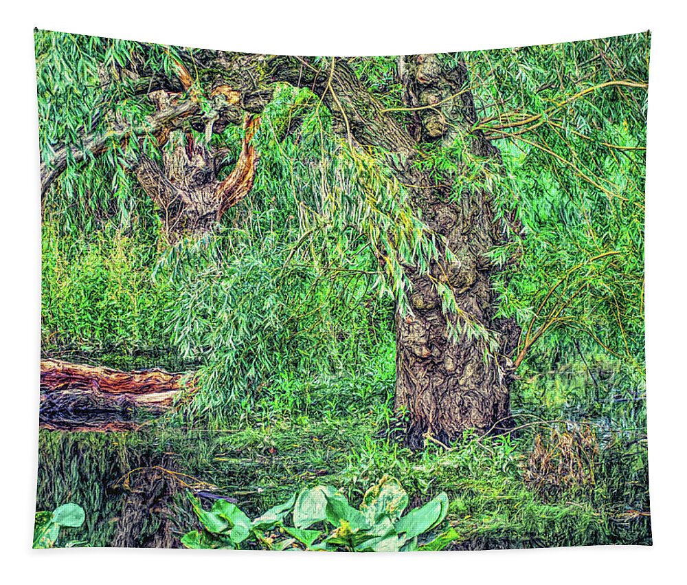 Marsh Tapestry featuring the photograph Knarly Tree in Swamp by Cordia Murphy