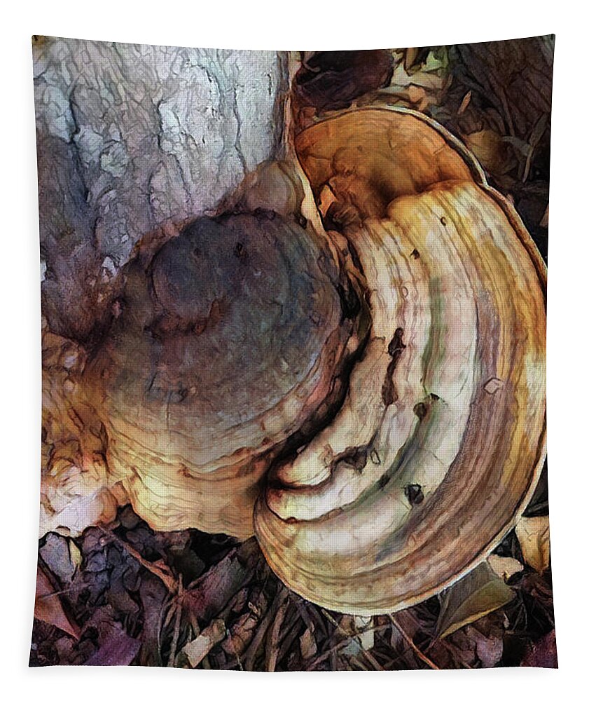 Photo Tapestry featuring the photograph Rings Of Fungi by Tim Nyberg