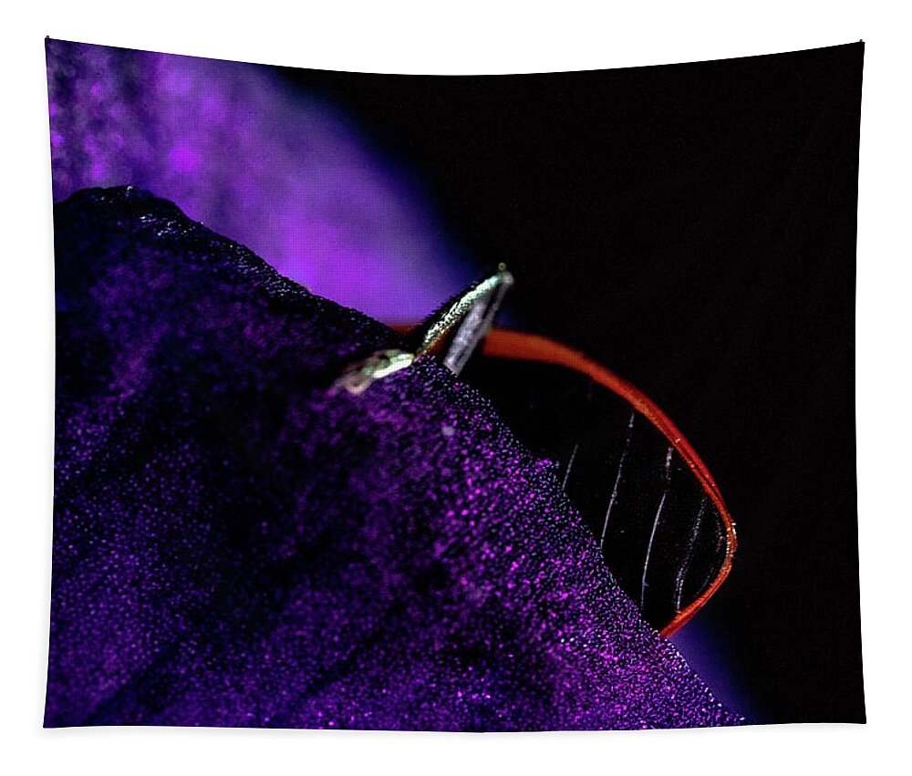 Ladybug Tapestry featuring the photograph Lady From Below by Ada Weyland