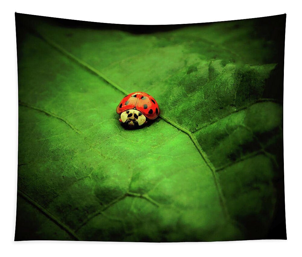 Ladybug Tapestry featuring the photograph Angry Bird by Gena Herro