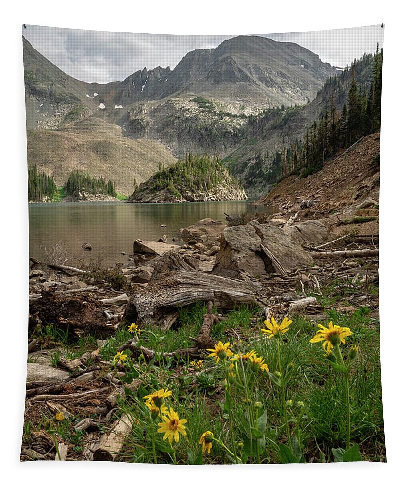 Mountains Tapestry featuring the photograph Lake Agnes Wildflowers by Aaron Spong