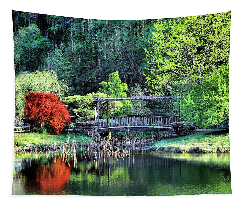 Nature Tapestry featuring the photograph Lake and Footbridge, Golden Hour, Spring by Steve Ember