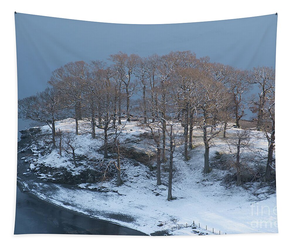 Photographer Tapestry featuring the photograph Lake District Peninsula by Perry Rodriguez