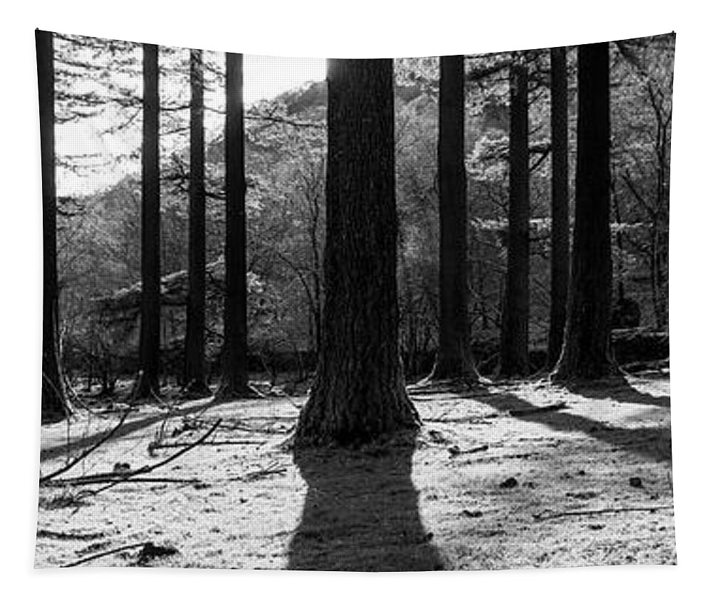 Panorama Tapestry featuring the photograph Lake District Woodland Black and white by Sonny Ryse