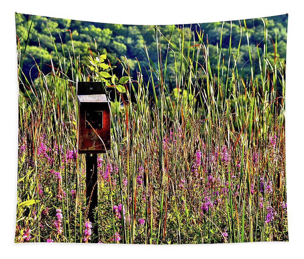 Lake Winona Tapestry featuring the photograph Lake Home by Susie Loechler