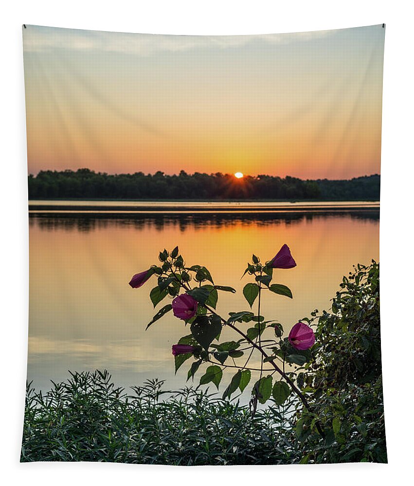 Pink Hibiscus Tapestry featuring the photograph Lake Springfield Hibiscus Sunrise by Jennifer White