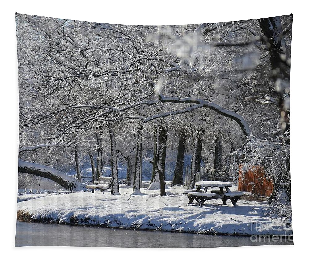 Background Tapestry featuring the photograph Lakeside Winter by On da Raks