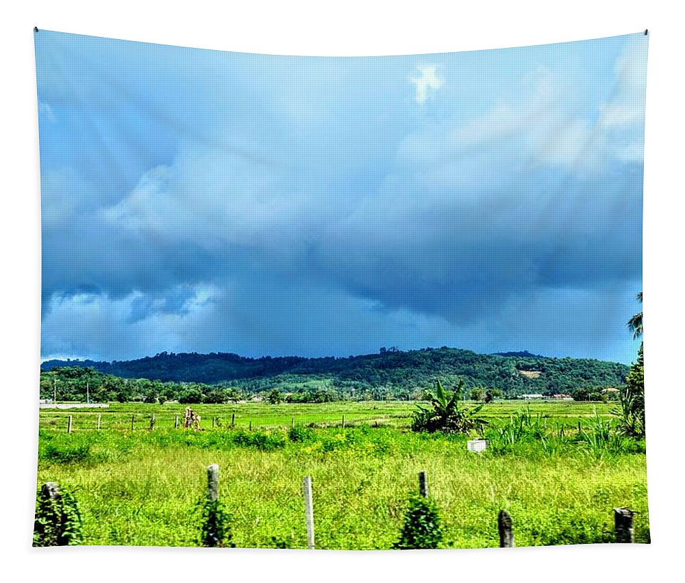 Landscape Tapestry featuring the photograph Landscape 001 by Faa shie