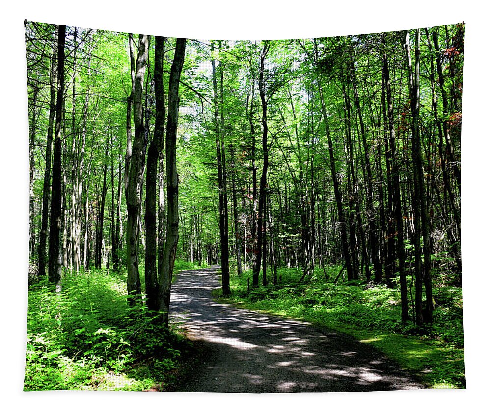 Landscape Tapestry featuring the photograph Landscape Forest Photo 84 by Lucie Dumas