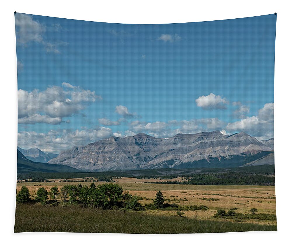Landscape Tapestry featuring the photograph Landscape in the Alberta Rockies by Karen Rispin