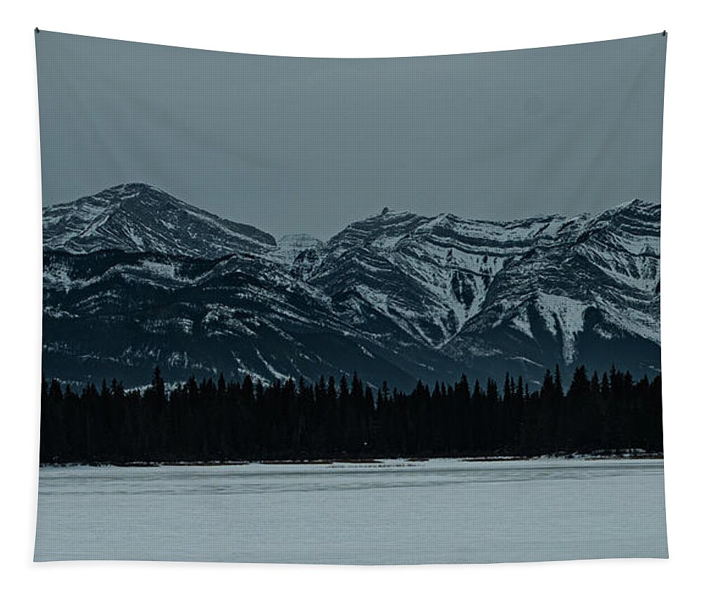 Landscape Tapestry featuring the photograph Landscape Is Abstract by Jerald Blackstock