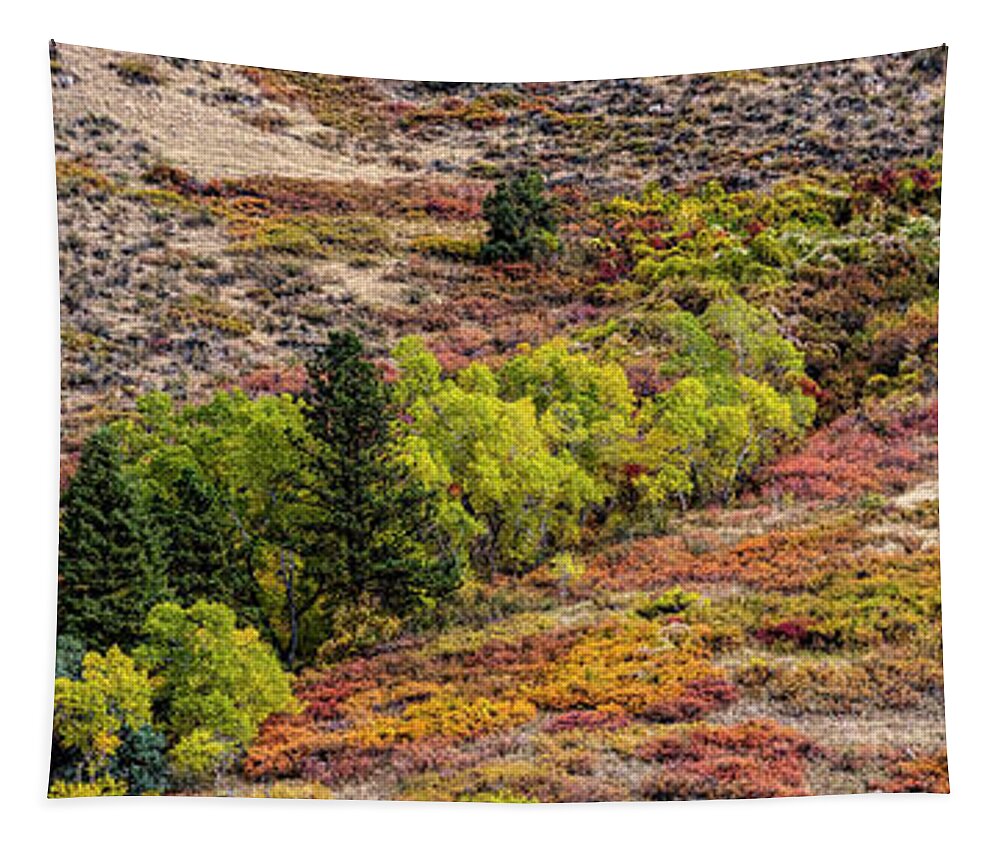 Jon Burch Tapestry featuring the photograph Laramie River Fall Colors by Jon Burch Photography