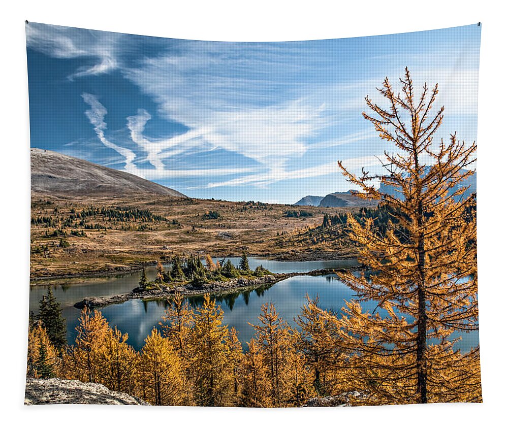 Larch Tapestry featuring the photograph Larch Trees in Sunshine Meadow by Linda Villers