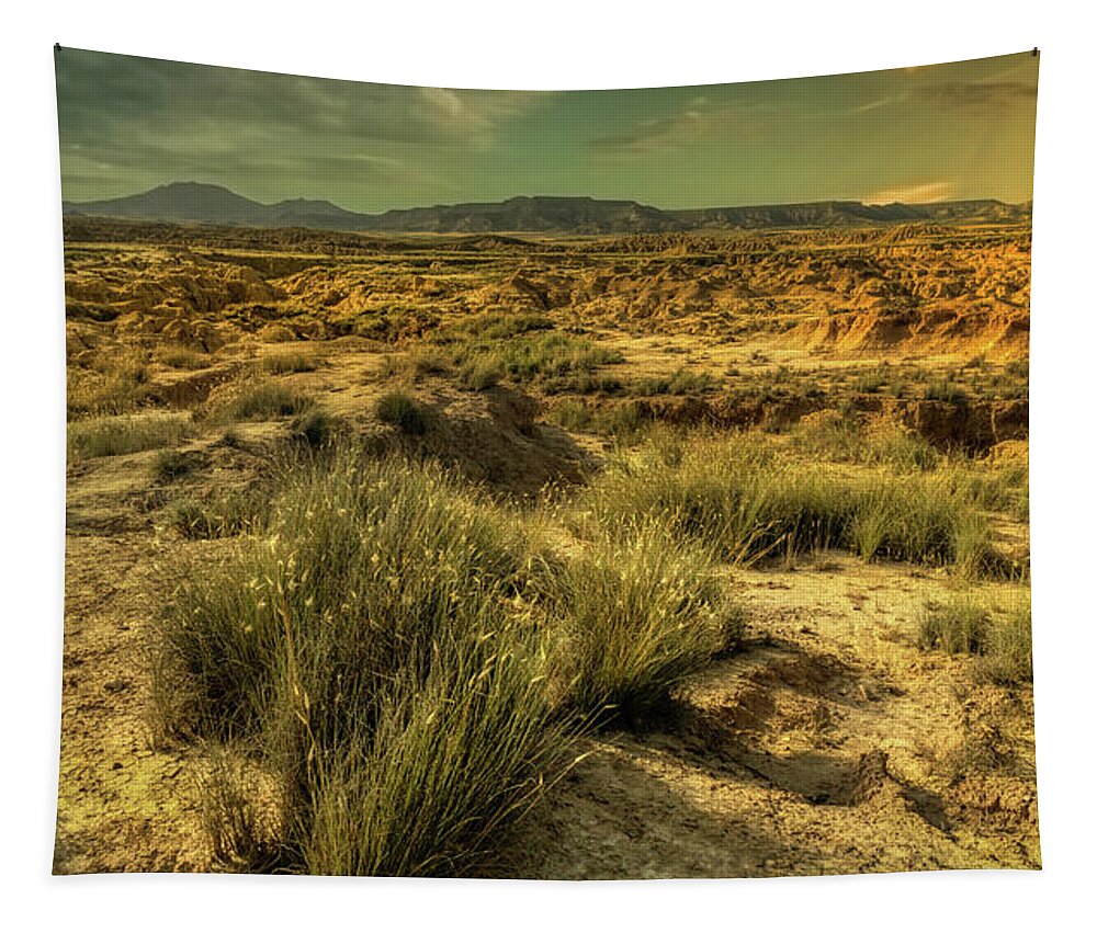 Bardenas Tapestry featuring the photograph Las Cortinas - Bardenas Reales by Micah Offman