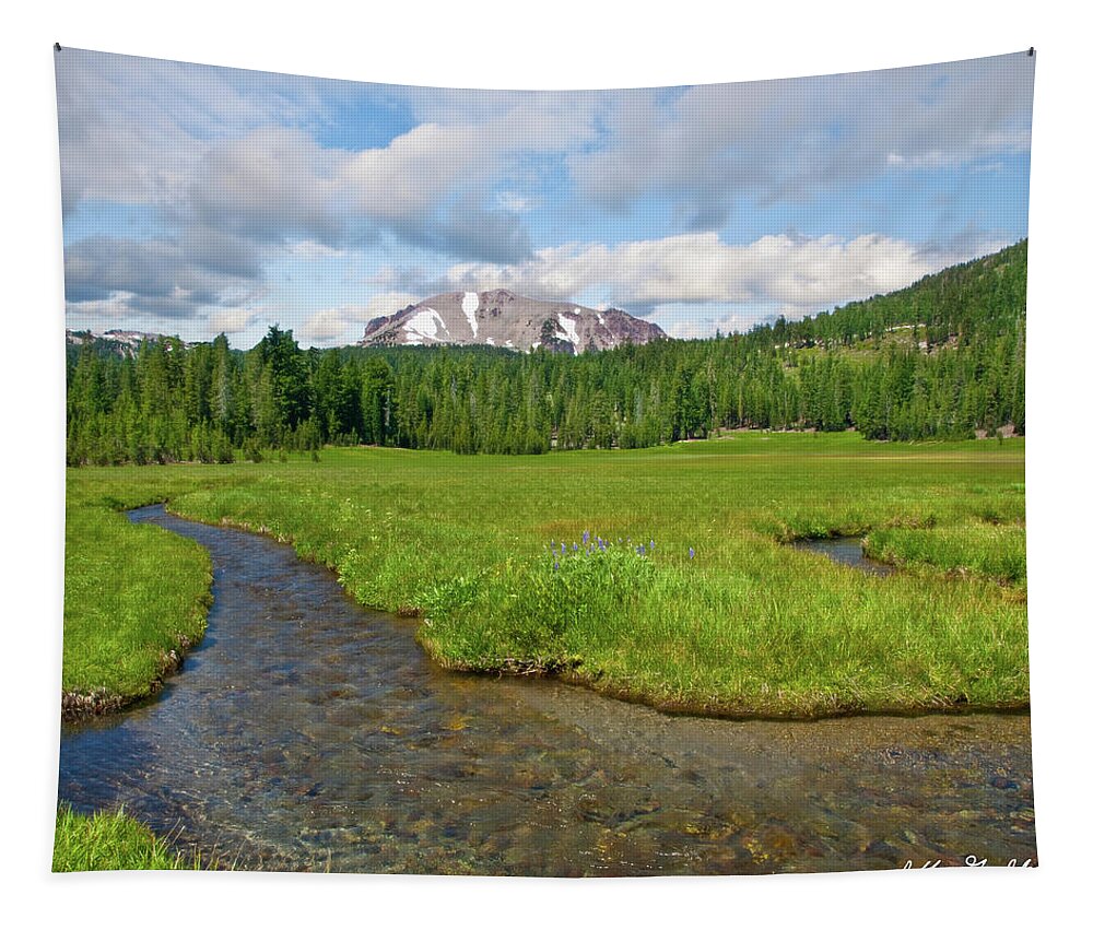 Alpine Tapestry featuring the photograph Lassen Peak and Kings Creek by Jeff Goulden