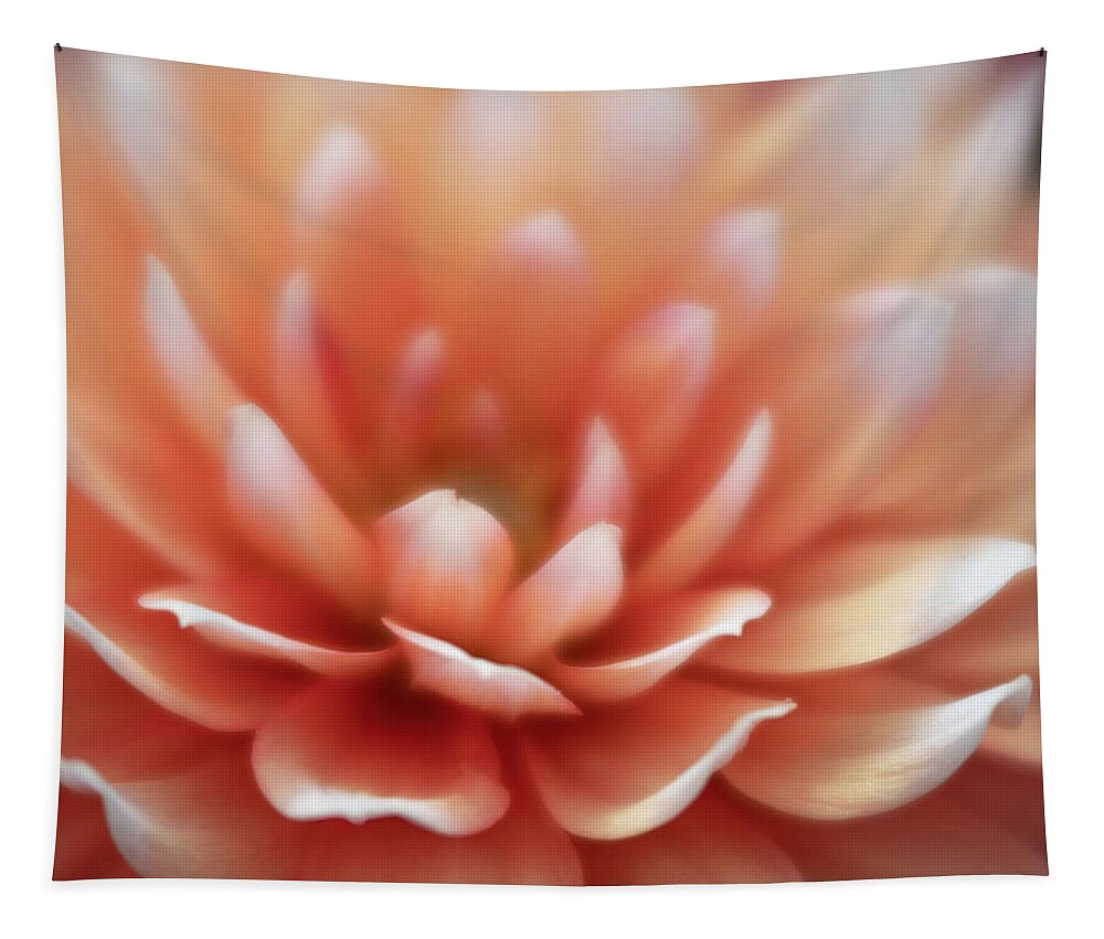 Dahlia Tapestry featuring the photograph Last Flowers of Summer by Forest Floor Photography