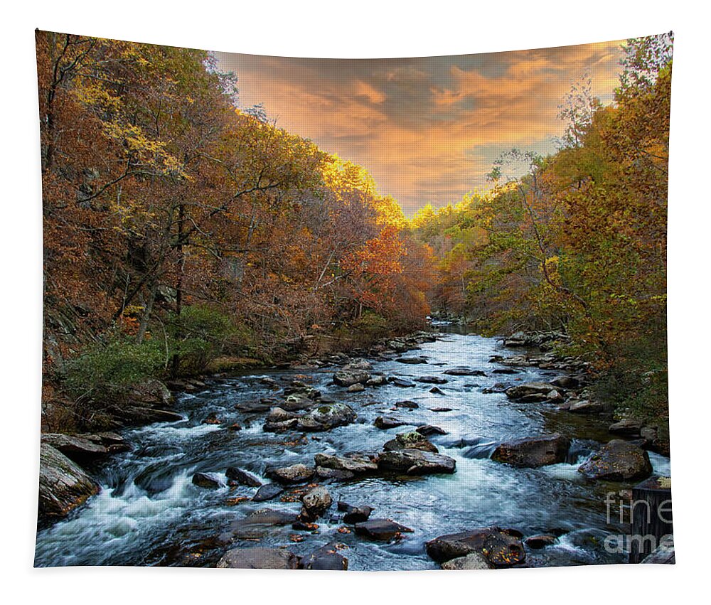 Bald River Tapestry featuring the photograph Last glimmer of light by Barbara Bowen