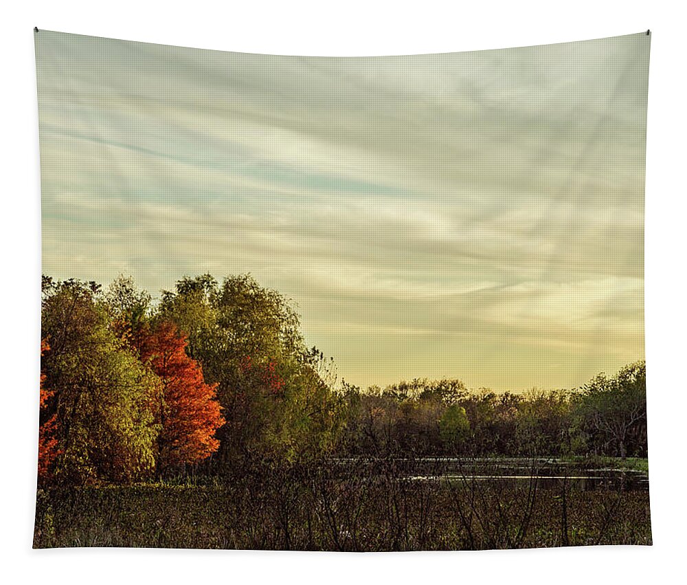 Autumn Tapestry featuring the photograph Last Light by Mike Schaffner