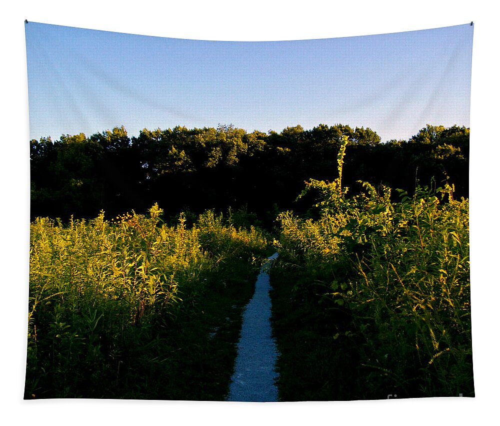 Natutre Tapestry featuring the photograph Last Light On The Preserve Trail by Frank J Casella