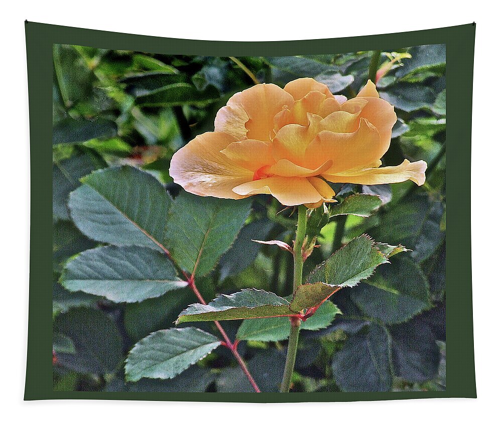 Rose Tapestry featuring the photograph Late Summer Yellow Rose by Janis Senungetuk
