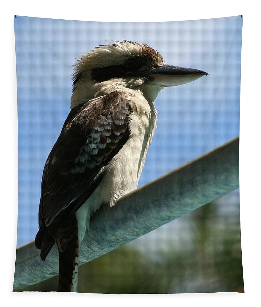 Animals Tapestry featuring the photograph Laughing Kookaburra by Maryse Jansen