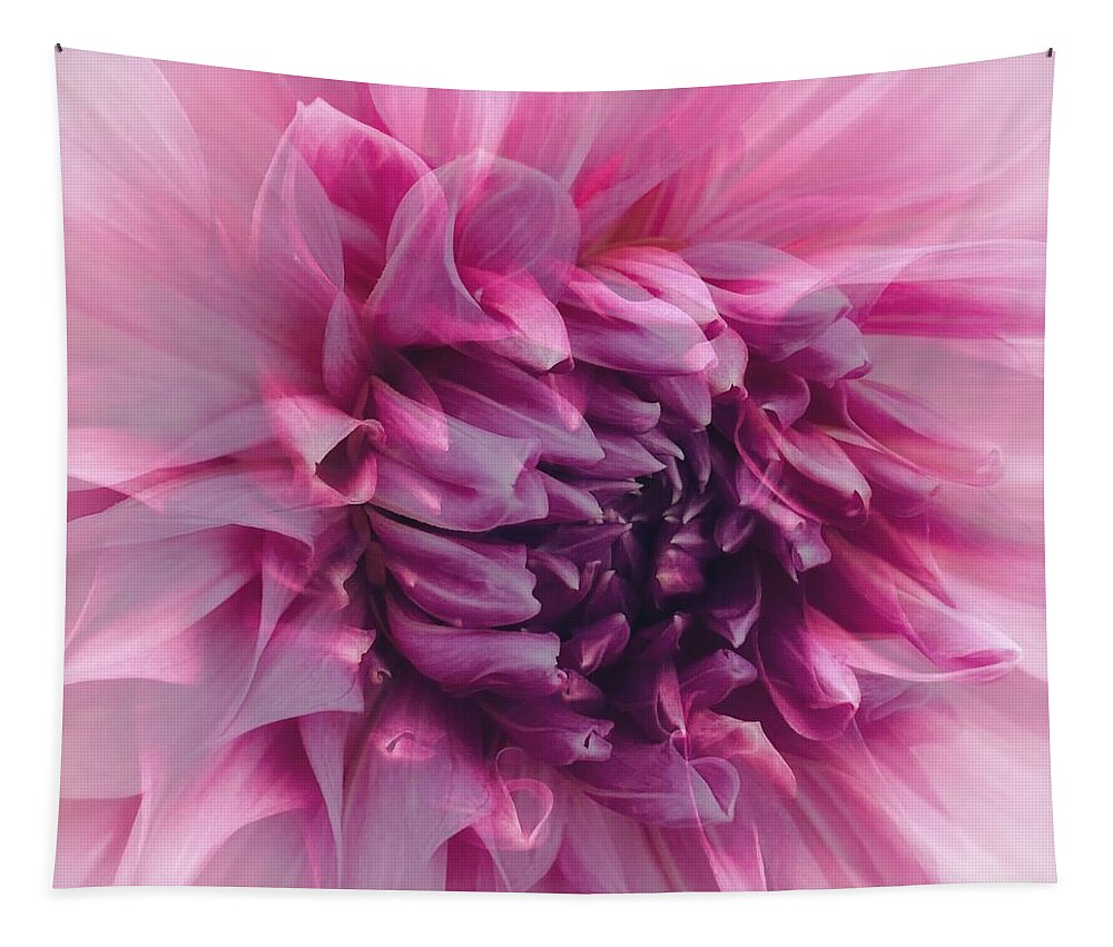 Macro Tapestry featuring the photograph Lavender and Pink Dahlia by Jerry Abbott