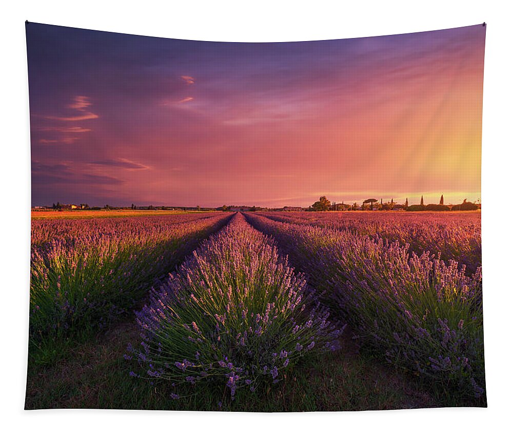 Lavender Tapestry featuring the photograph Lavender flowers fields and a beautiful sunset. Tuscany by Stefano Orazzini