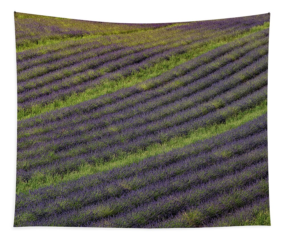 Valensole Plateau Tapestry featuring the photograph Lavender Rows by Rob Hemphill