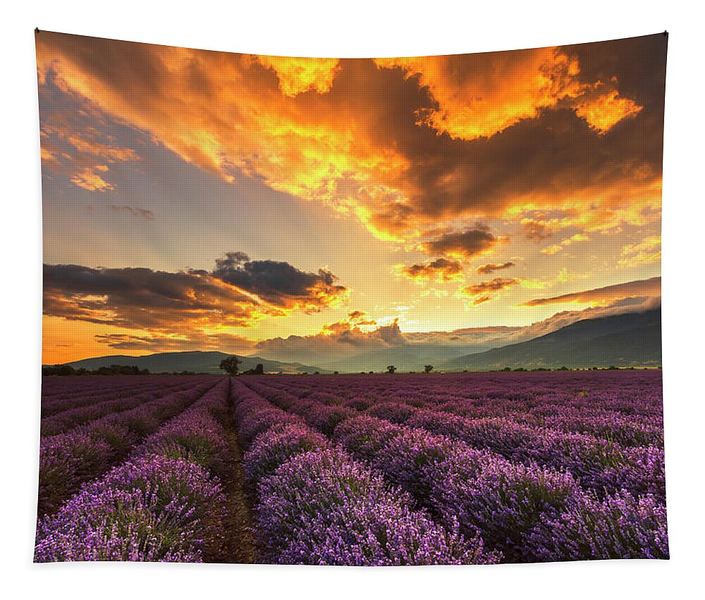 Bulgaria Tapestry featuring the photograph Lavender Sun by Evgeni Dinev
