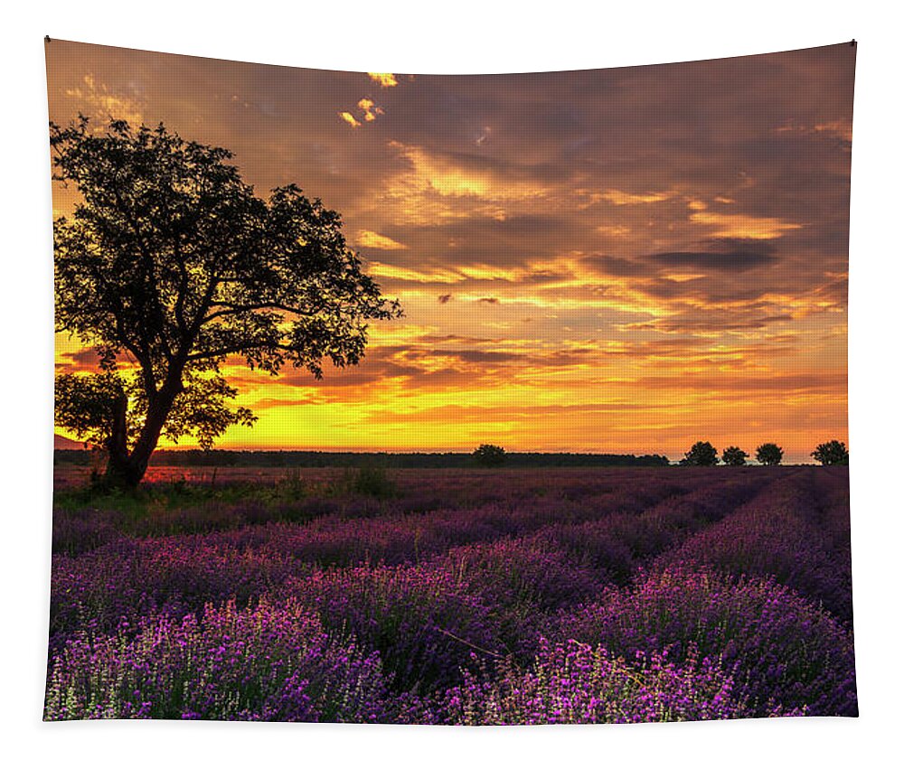 Bulgaria Tapestry featuring the photograph Lavender Sunrise by Evgeni Dinev