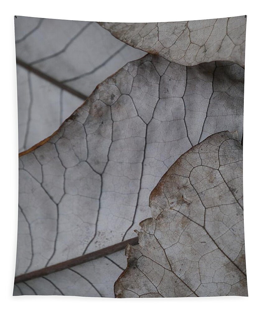 Jane Ford Tapestry featuring the photograph Layersof Leaves by Jane Ford