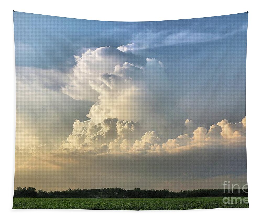 Lightning Tapestry featuring the photograph Lazy Summer by Rick Lipscomb