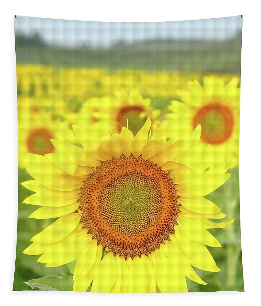 Sunflower Tapestry featuring the photograph Leader Of The Pack by Lens Art Photography By Larry Trager