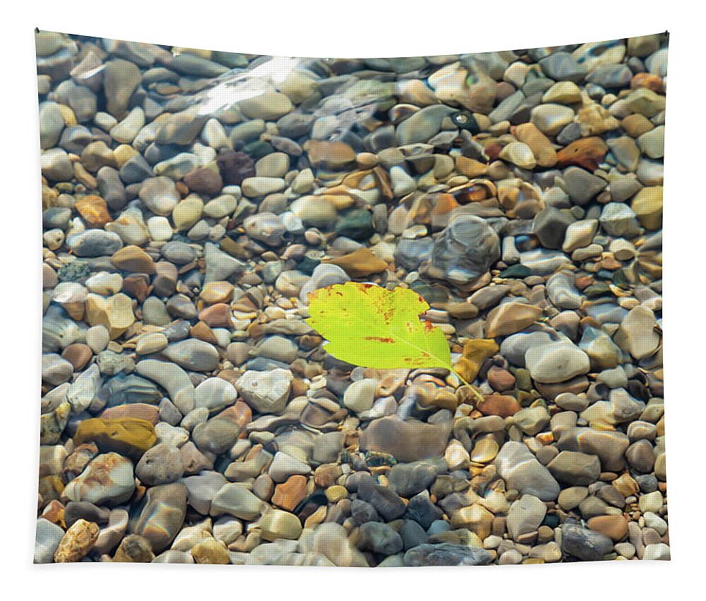 Torch Lake Tapestry featuring the photograph Leaf at Torch Lake by Joe Kopp