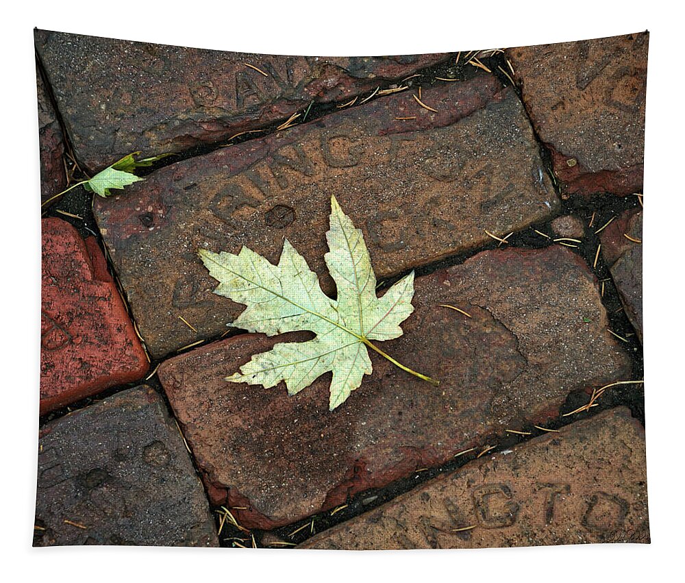 Leaf Tapestry featuring the photograph Leaf on Bricks by Jeff White