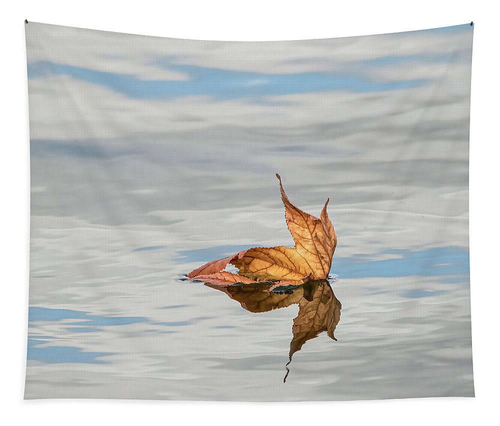 Evergreen Lake Tapestry featuring the photograph Leaf on Water by Ray Silva
