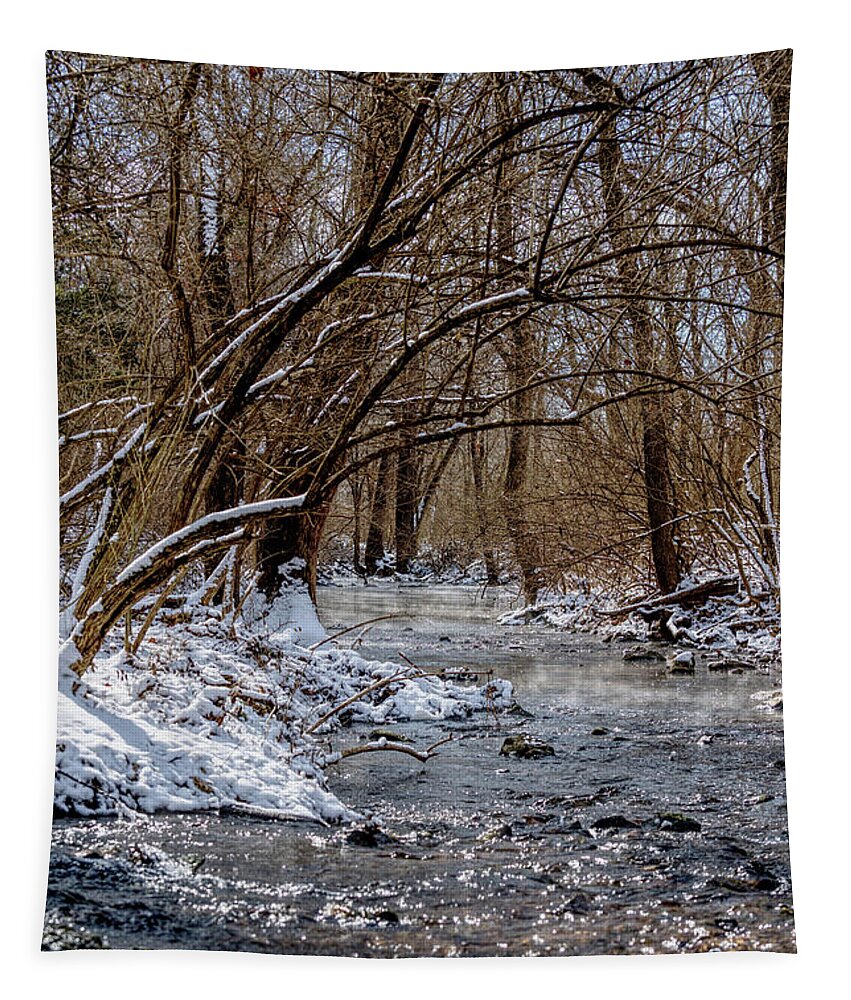 Winter Tapestry featuring the photograph Leaning Over Galloway Creek by Jennifer White