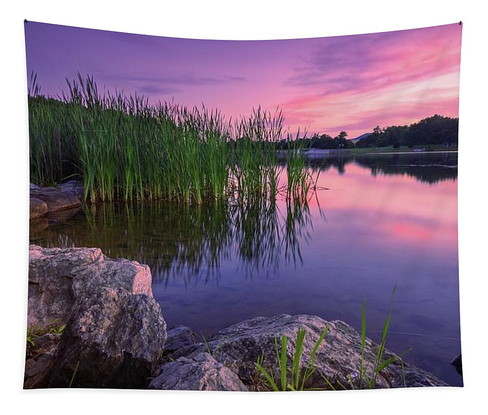 Leaser Tapestry featuring the photograph Leaser Lake Shoreside Reed Sunset by Jason Fink