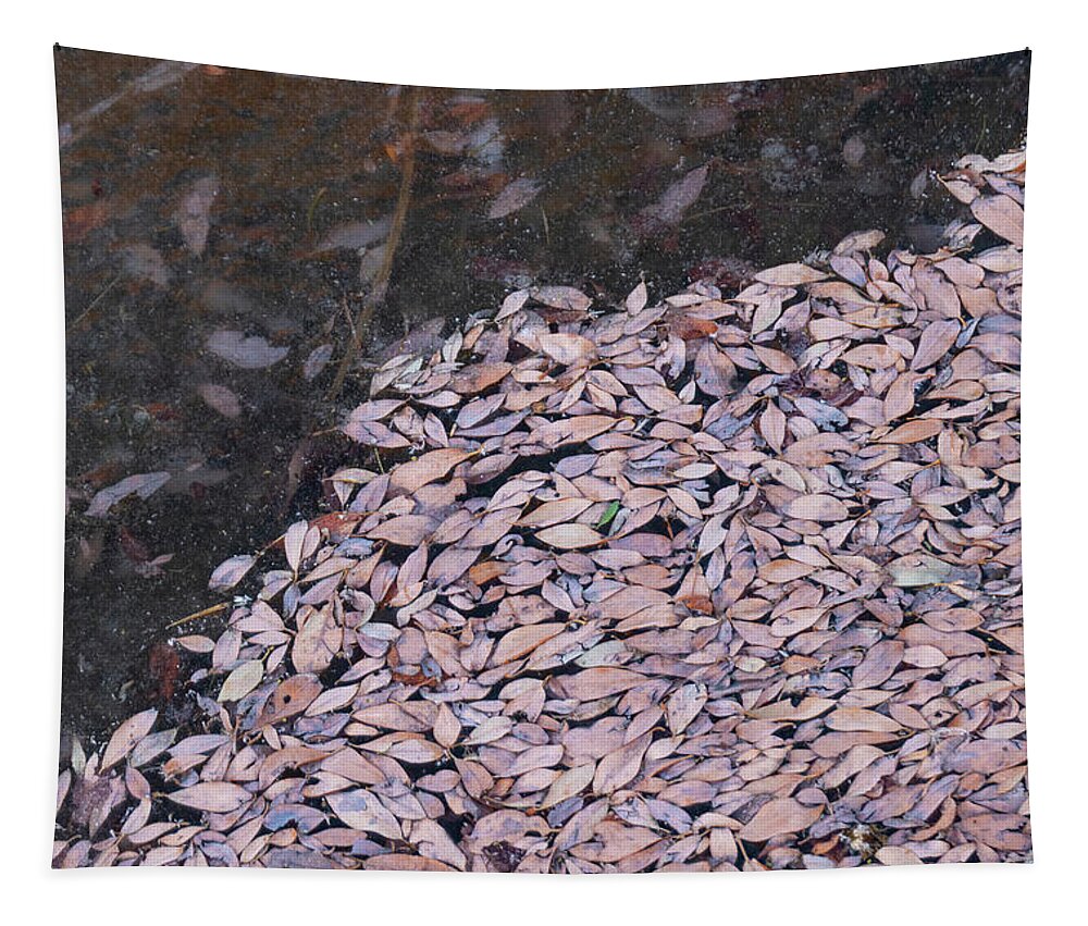 Leaves Tapestry featuring the photograph Leaves And Ice by Karen Rispin