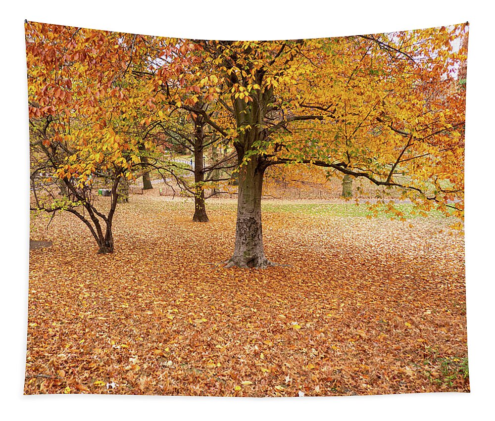 Autumn Tapestry featuring the photograph Leaves by Cornelis Verwaal