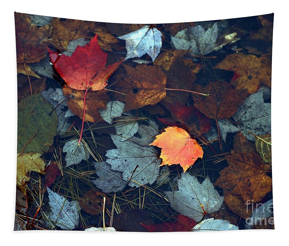  Autumn Tapestry featuring the photograph Leaves of Color by Marcia Lee Jones