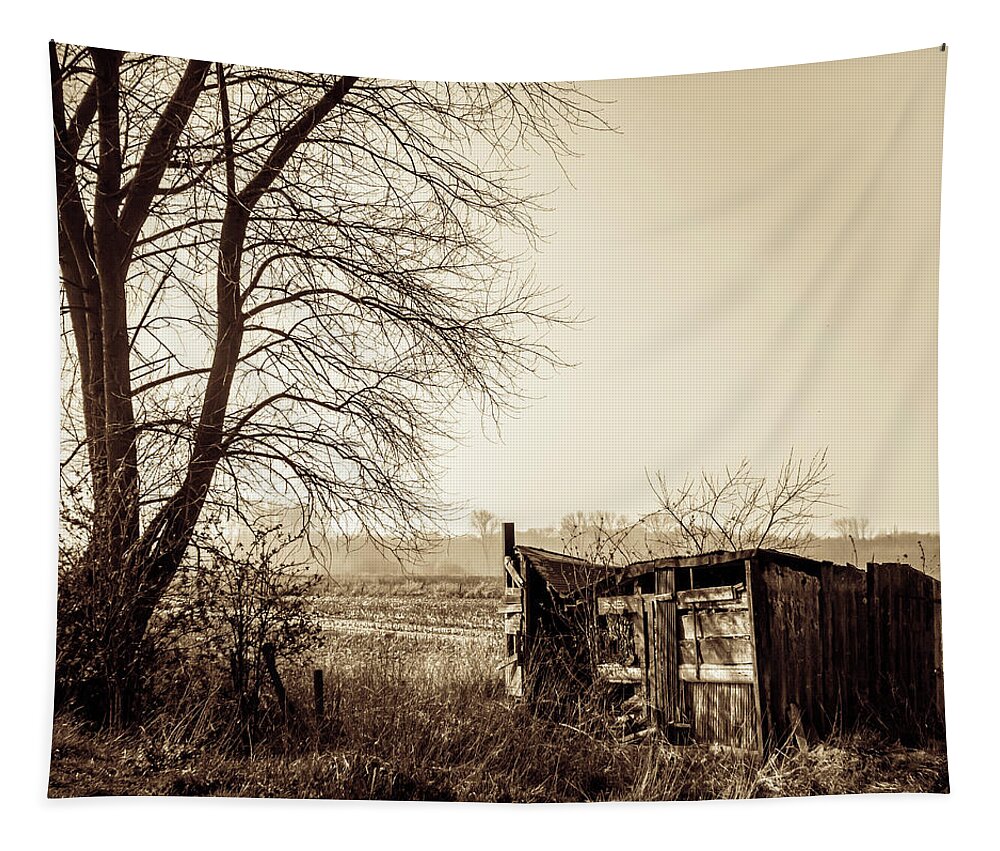 Shack Tapestry featuring the photograph Left Behind by Wim Lanclus