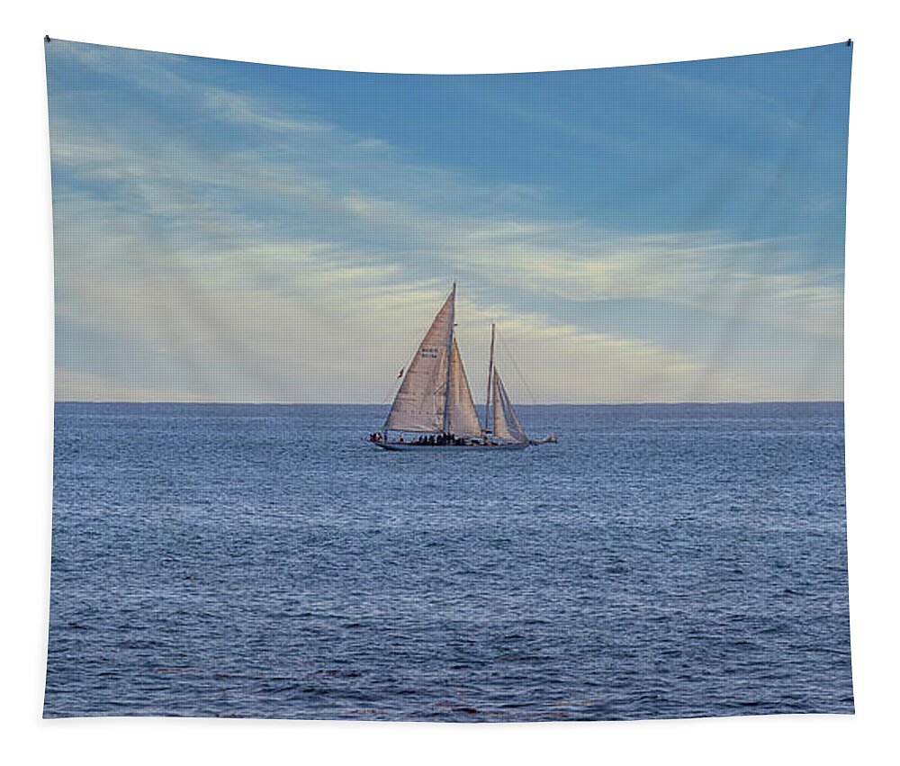 Ocean Tapestry featuring the photograph Leisurely Sailing by Aaron Burrows