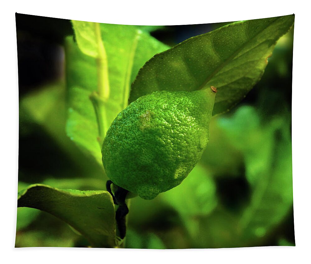 Lemon Tapestry featuring the photograph Lemon Baby by Carl Moore