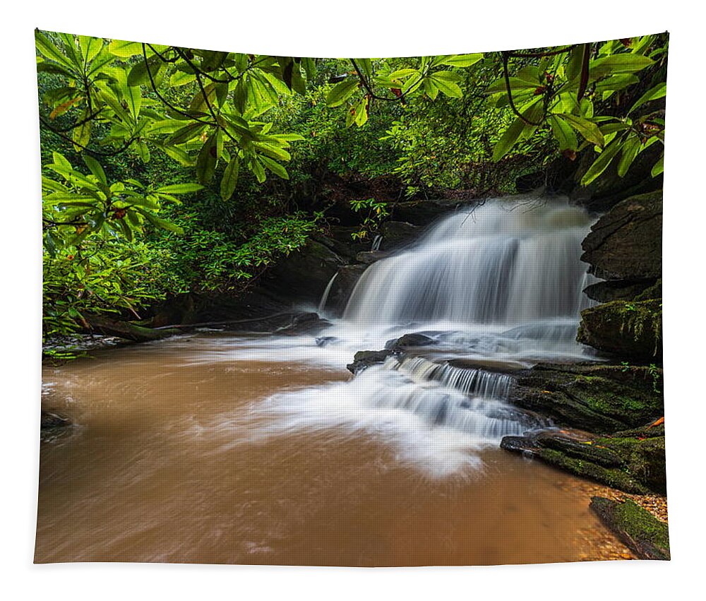 Lemon Creek Falls Tapestry featuring the photograph Lemon Creek Falls by Chris Berrier