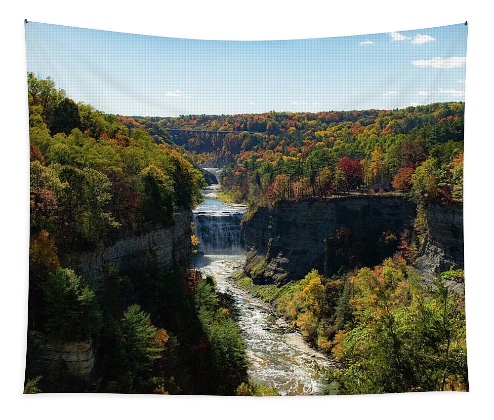 Nature Tapestry featuring the photograph Letchworth State Park by Nicole Lloyd
