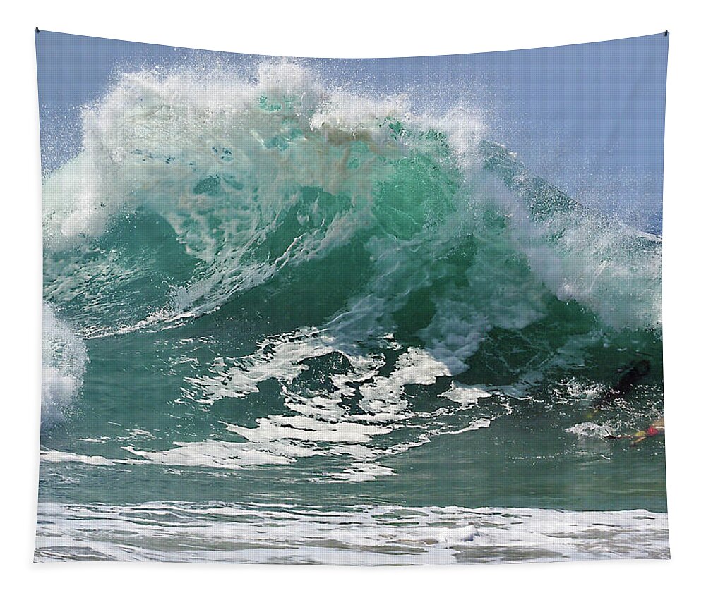 Wedge Tapestry featuring the photograph Let's Go Swimming by Joe Schofield