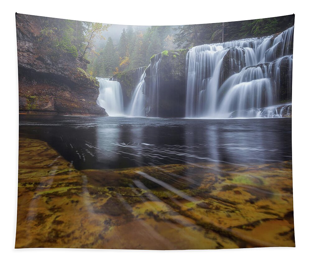 Foggy Tapestry featuring the photograph Lewis River Fog by Darren White