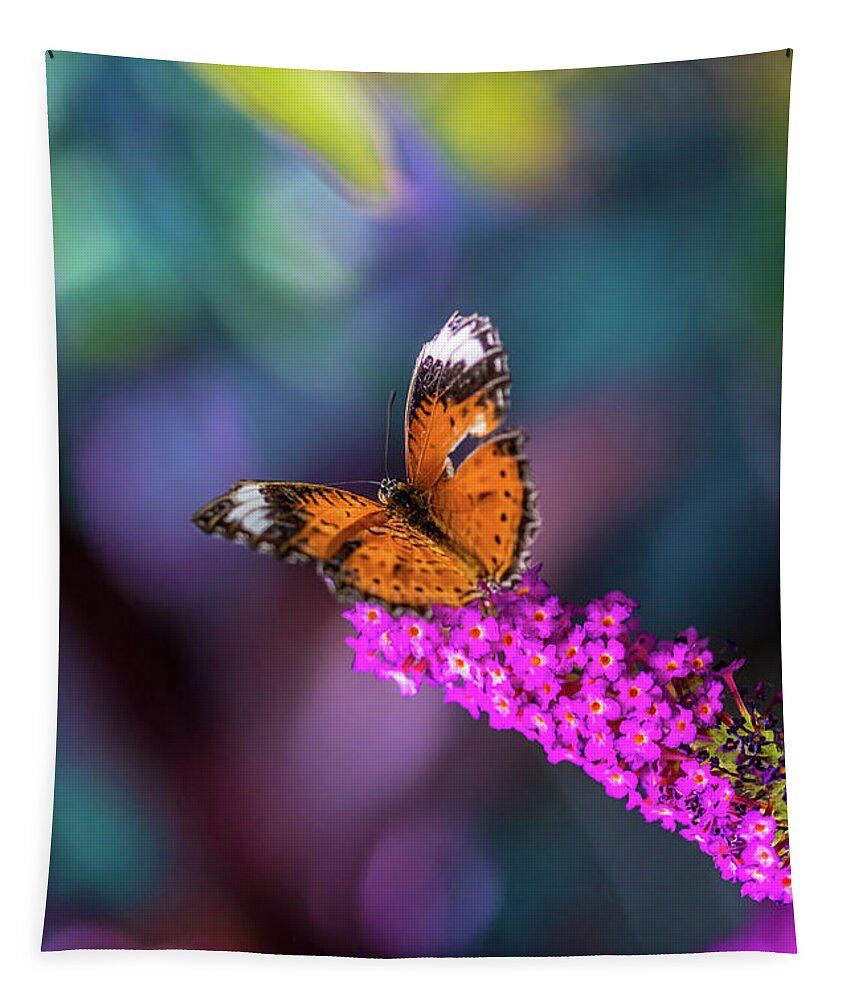 Monarch Butterfly Tapestry featuring the photograph Life Is A Rainbow by Az Jackson